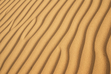 sand texture