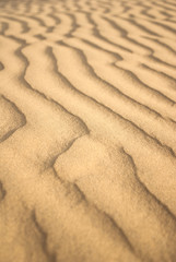 sand texture