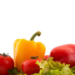 Vegetables on white background