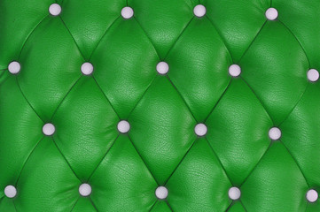 Fototapeta premium texture of green skin