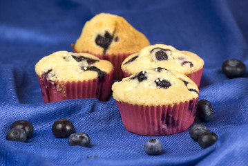blueberries muffin