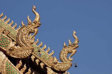 The dragon on the roof