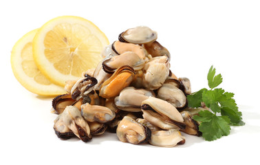 Pile of raw mussels over white
