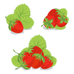 Sweet strawberry with green leaves on white background