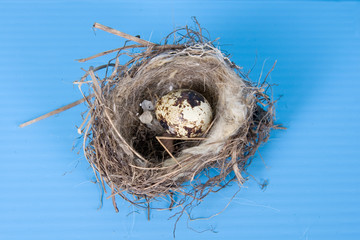 Empty nest