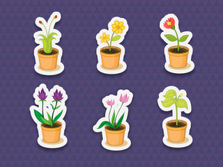 Plant stickers