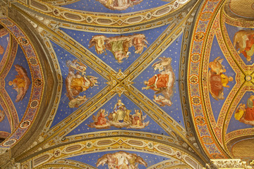 Rome - roof from Santa Maria sopra Minerva church