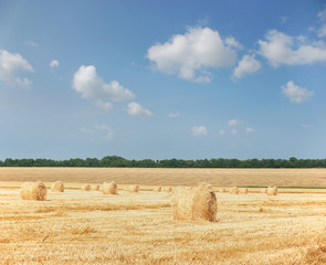 Agriculture - haystack