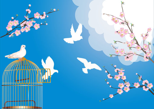 free doves and cherry tree flowers