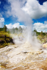 Lady Knox Geyser