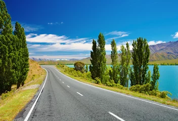 Foto op Plexiglas New Zealand landscape © Dmitry Pichugin