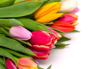 beautiful bouquet of fresh and colorful tulips isolated on white