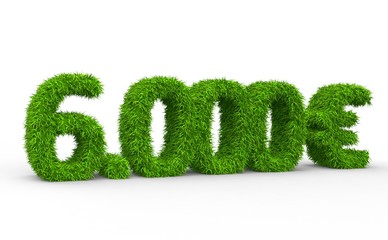 6000 € 3d Schrift gras