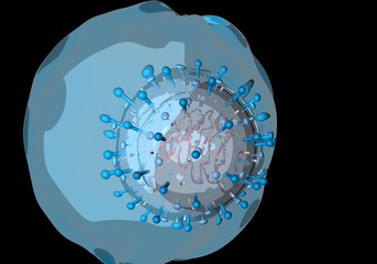 Corona Virus