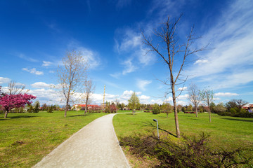 Landscape in the park