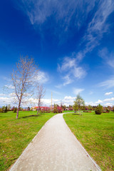 Landscape in the park