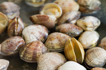 pan frying clams