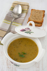 vegetable soup in the bowl and spoon