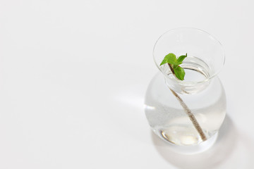 一輪挿しの青葉