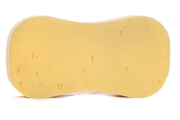 Yellow sponge cutout