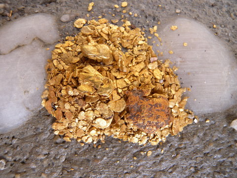 gold nuggets & flakes