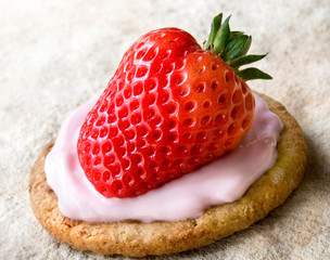 fragola