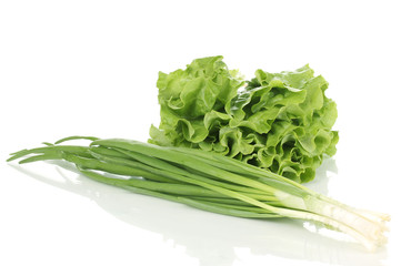 Fresh lettuce and green onion isolated on white