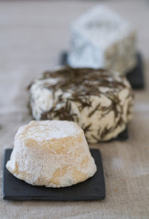 fromages de chèvre