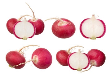 radish