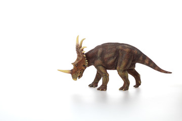 Styracosaurus dinosaur © Pedro Bigeriego