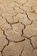 cracked earth