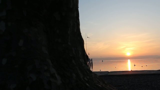sunset dolly