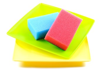 Dish sponge and plates