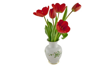 Red tulips