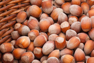 Hazelnut