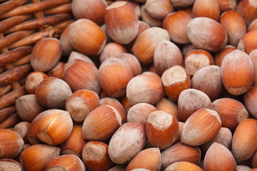 Hazelnut