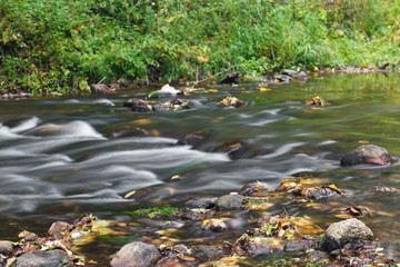 Obraz na płótnie Canvas stream in autumn