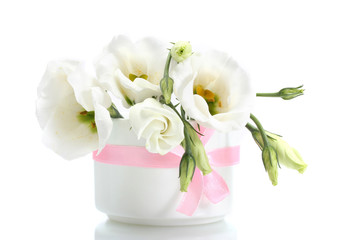 beautiful spring flowers in vase isolated on white