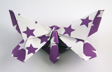 mariposa