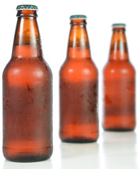 Beer Bottles