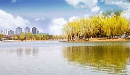 City park beside the lake, green trees in it with reflections an