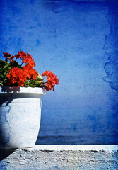 Greek specific-red flower with blue sea background