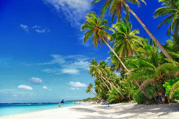 tropical paradise