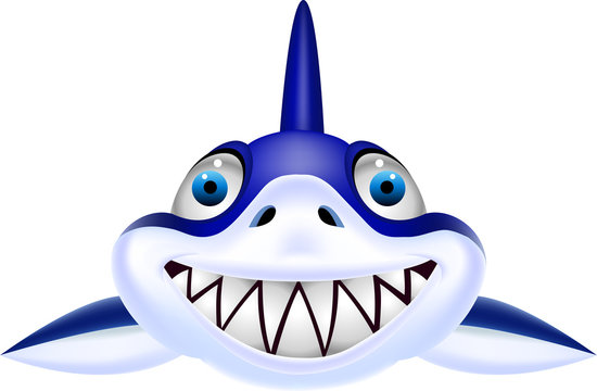 Shark head cartoon