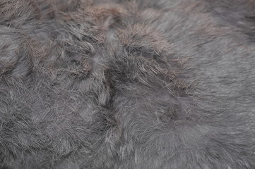 Pelz / Felldecke / Karninchen