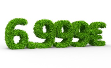6999 € 3d Schrift gras