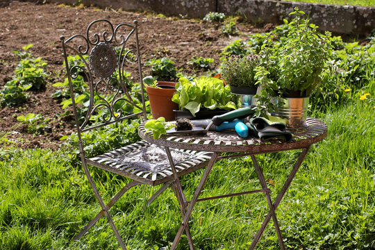 Garten, Tisch und Stuhl mit Pflanzen