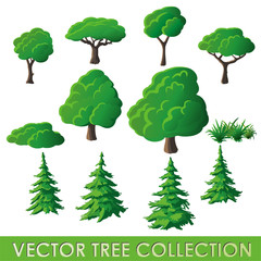 Vector Tree Collection
