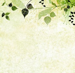 Green leaves, nature background