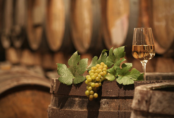 Wine Grapes in a Wine Cellar - 40831179